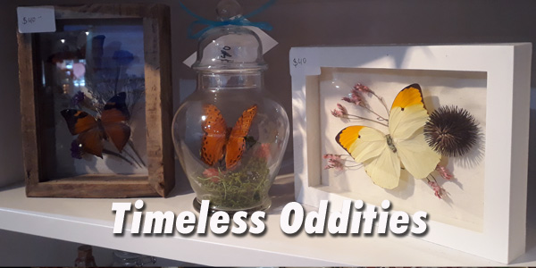 Timeless Oddities